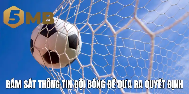Bám sát thông tin đội bóng để đưa ra quyết định