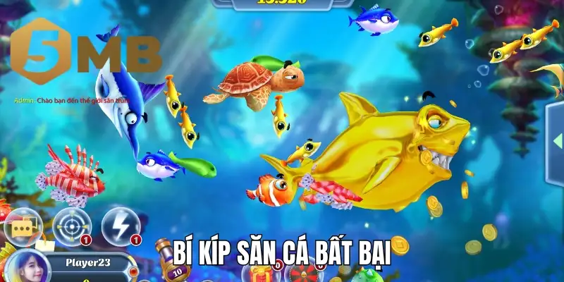 Bí kíp săn cá bất bại