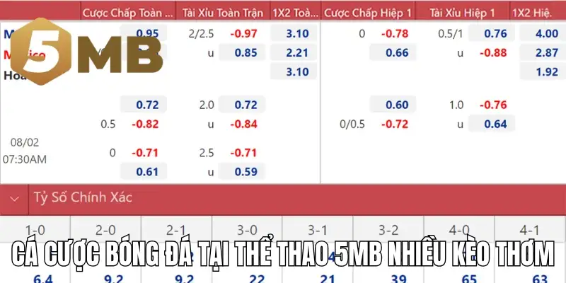 Cá cược bóng đá tại thể thao 5mb nhiều kèo thơm