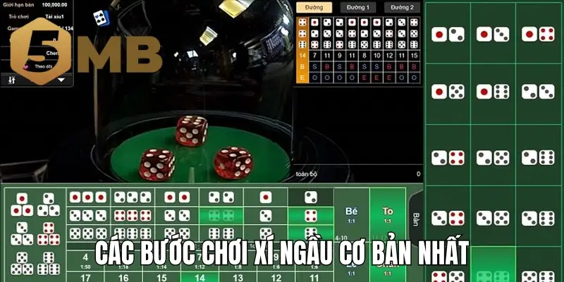 Các bước chơi xí ngầu cơ bản nhất