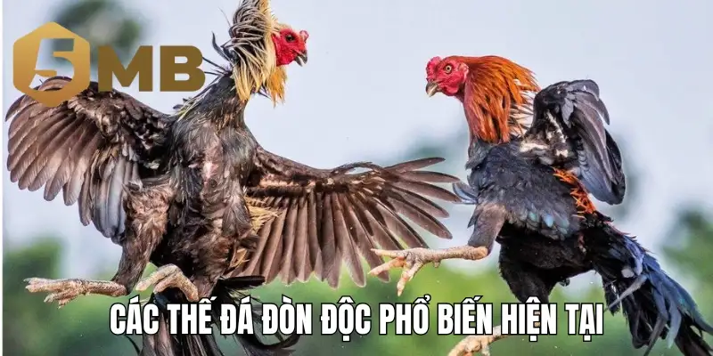 Các thế đá đòn độc phổ biến hiện tại