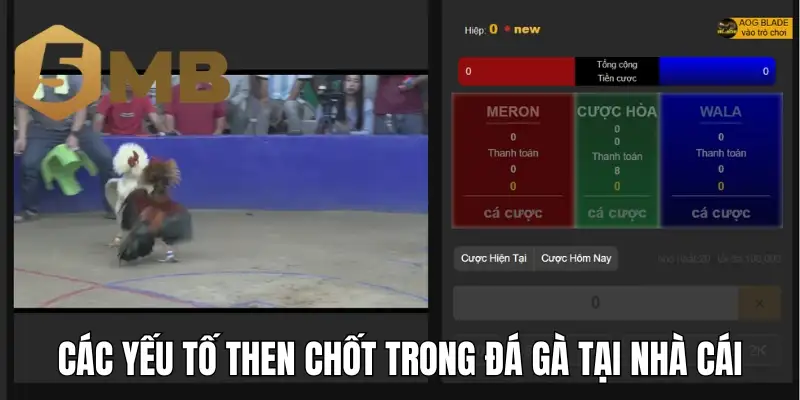 Các yếu tố then chốt trong đá gà tại nhà cái