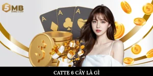 Catte 6 cây là gì