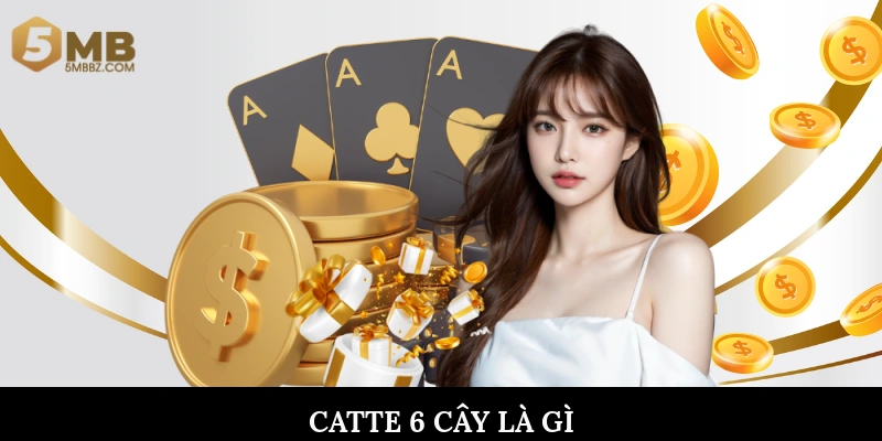 Catte 6 cây là gì