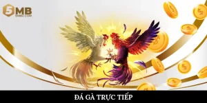 Đá gà trực tiếp