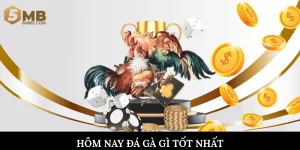Hôm nay đá gà gì tốt nhất