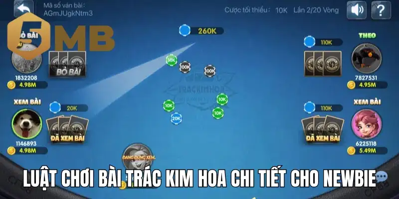 Luật chơi bài Trác Kim Hoa chi tiết cho newbie