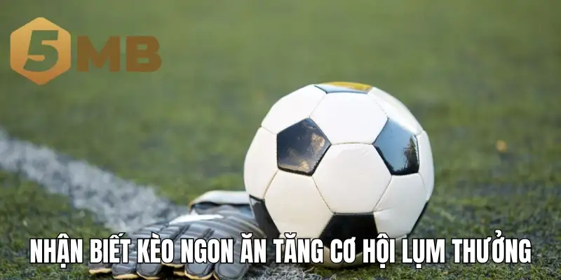 Nhận biết kèo ngon ăn tăng cơ hội lụm thưởng