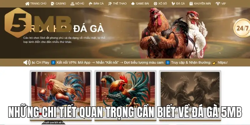 Những chi tiết quan trọng cần biết về đá gà 5mb