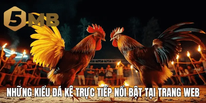 Những kiểu đá kê trực tiếp nổi bật tại trang web