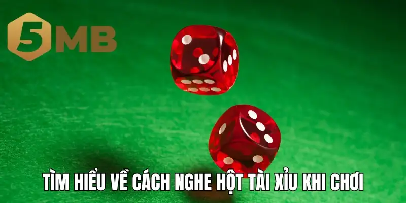 Tìm hiểu về cách nghe hột tài xỉu khi chơi
