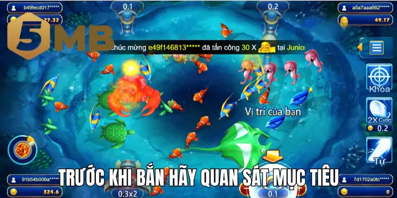 Trước khi bắn hãy quan sát mục tiêu